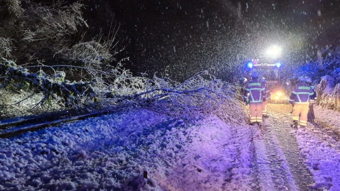Feuerwehr sichert Einsatzstelle zwischen Olsbrücken und Kreimbach-Kaulbach ab (Baum über Bahnstrecke).
