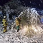 8. April und 9. April 2022 - Beseitigung Unwetterfolgen (Schneefall), Verbandsgemeindegebiet