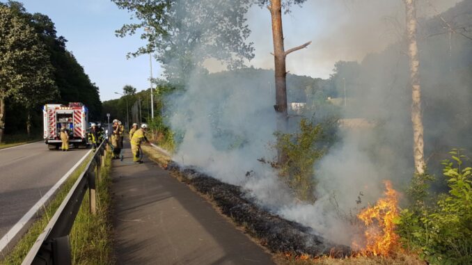 17. Juni 2022 - Flächenbrand und Mülleimerbrände, Otterberg Bereich Haupt- / Weiherstraße