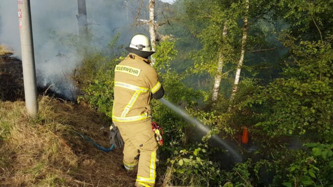 17. Juni 2022 - Flächenbrand und Mülleimerbrände, Otterberg Bereich Haupt- / Weiherstraße