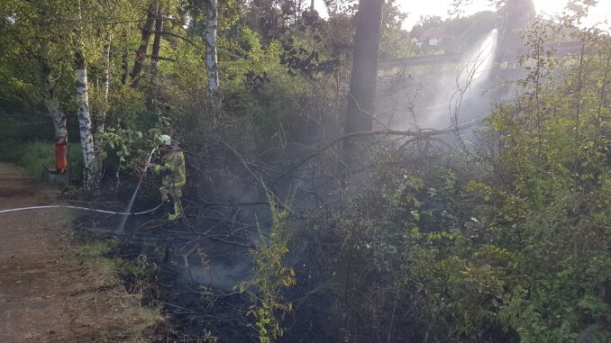 Den Flächenbrand erfasste eine Böschung an der Hauptstraße / Ortsausgang nach Höringen.