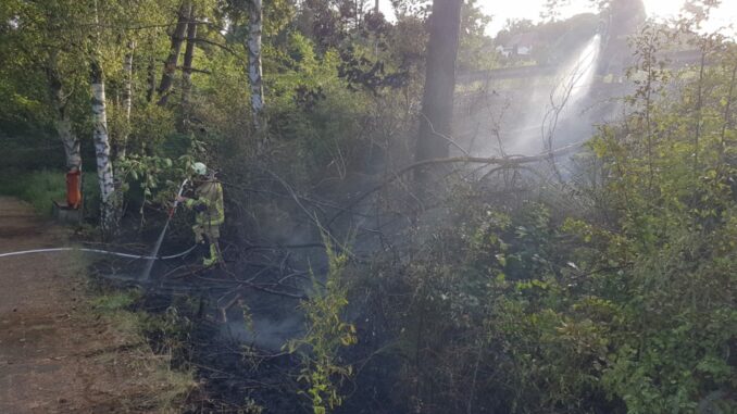 17. Juni 2022 - Flächenbrand und Mülleimerbrände, Otterberg Bereich Haupt- / Weiherstraße