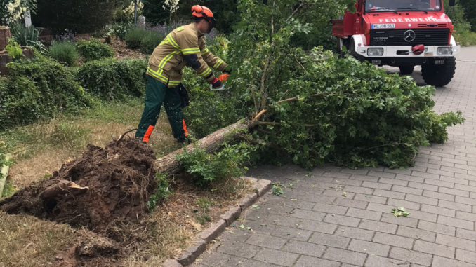 13. Juli 2022 - Umgefahrener Baum, Mehlbach Waldstraße