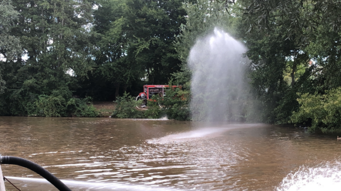 19. August 2022 - Fischsterben, Katzweiler Landschaftsweiher