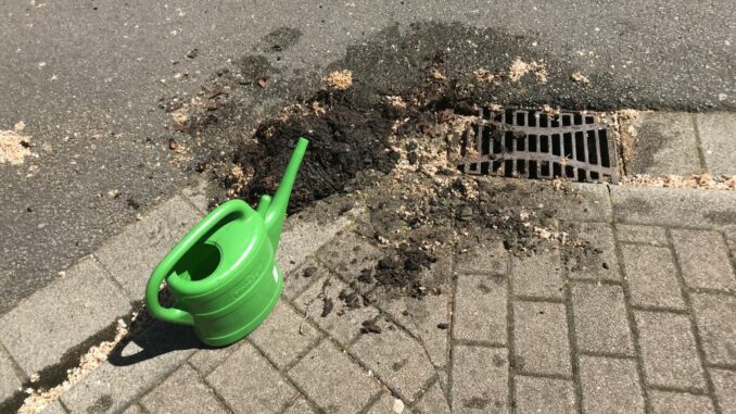 25. Mai 2023 - Rauchentwicklung aus Gully, Otterberg Alleestraße