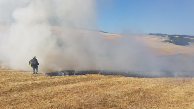 25. Juni 2023 - Flächenbrand, L388 Heiligenmoschel - Schneckenhausen