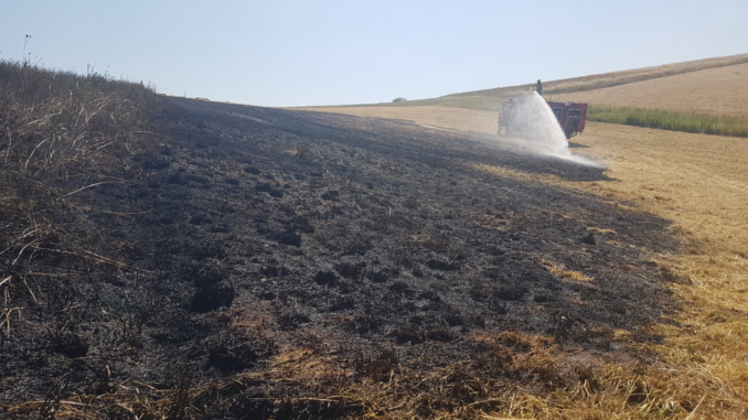 25. Juni 2023 - Flächenbrand, L388 Heiligenmoschel - Schneckenhausen