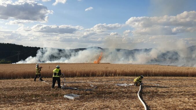 Flächenbrandbekämpfung in Niederkirchen.