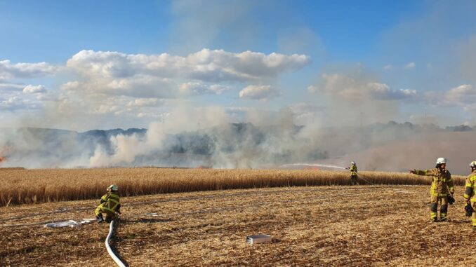 Flächenbrandbekämpfung in Niederkirchen.
