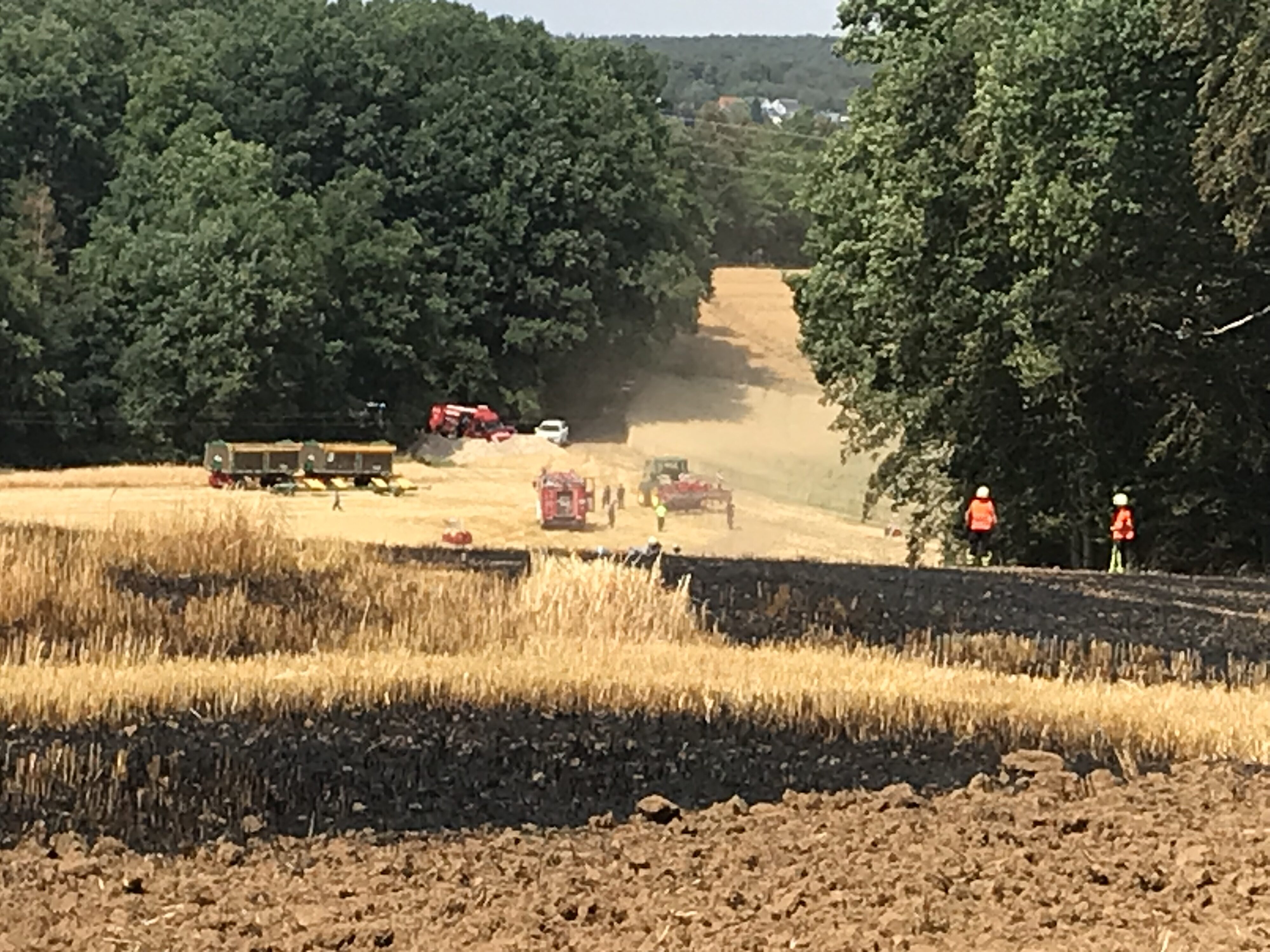 10. Juli 2023 - Flächen- und Waldbrand, Enkenbach-Alsenborn Ochsental