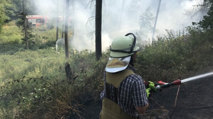 10. Juli 2023 - Flächen- und Waldbrand, Enkenbach-Alsenborn Ochsental