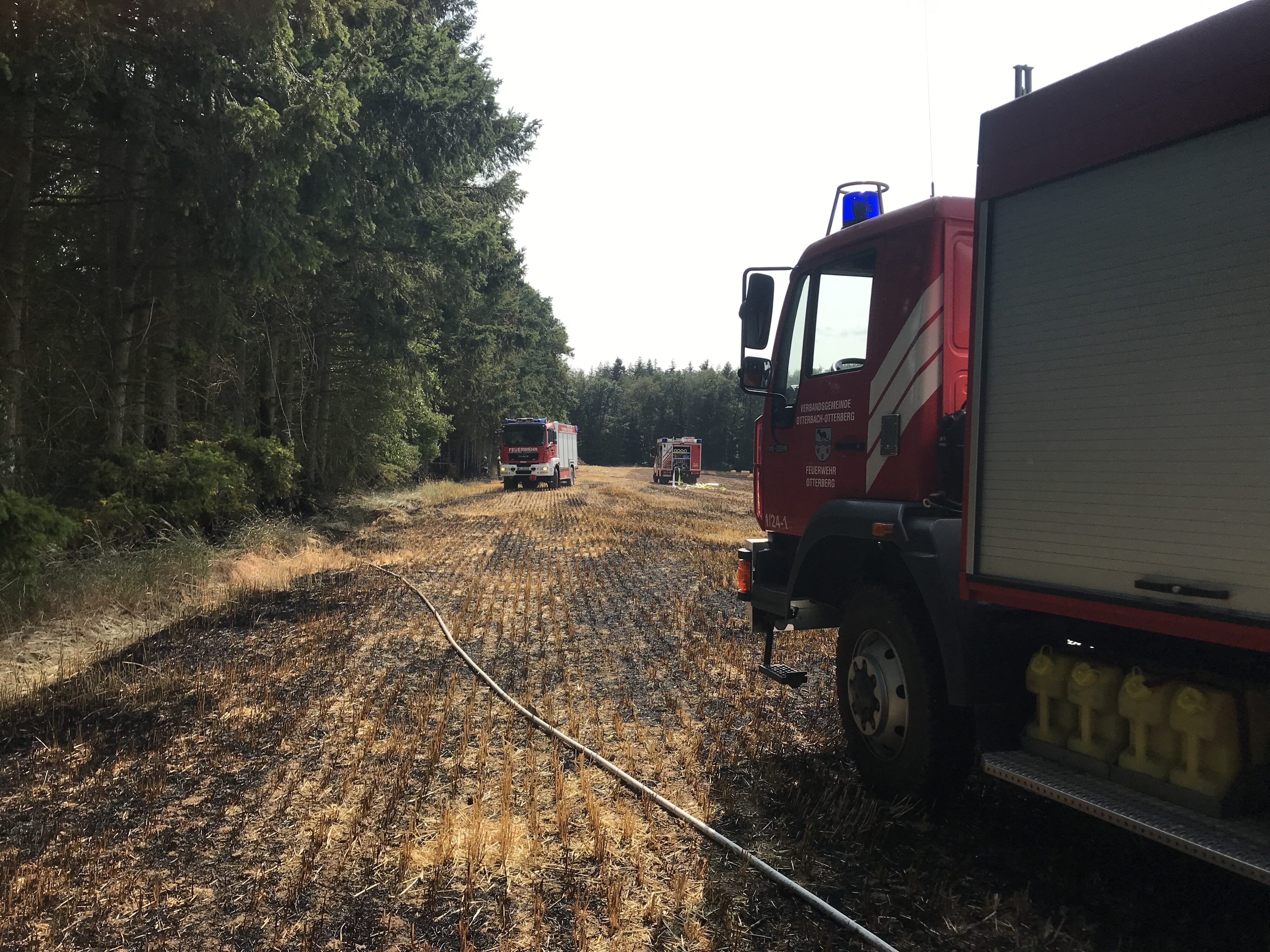 10. Juli 2023 - Flächen- und Waldbrand, Enkenbach-Alsenborn Ochsental