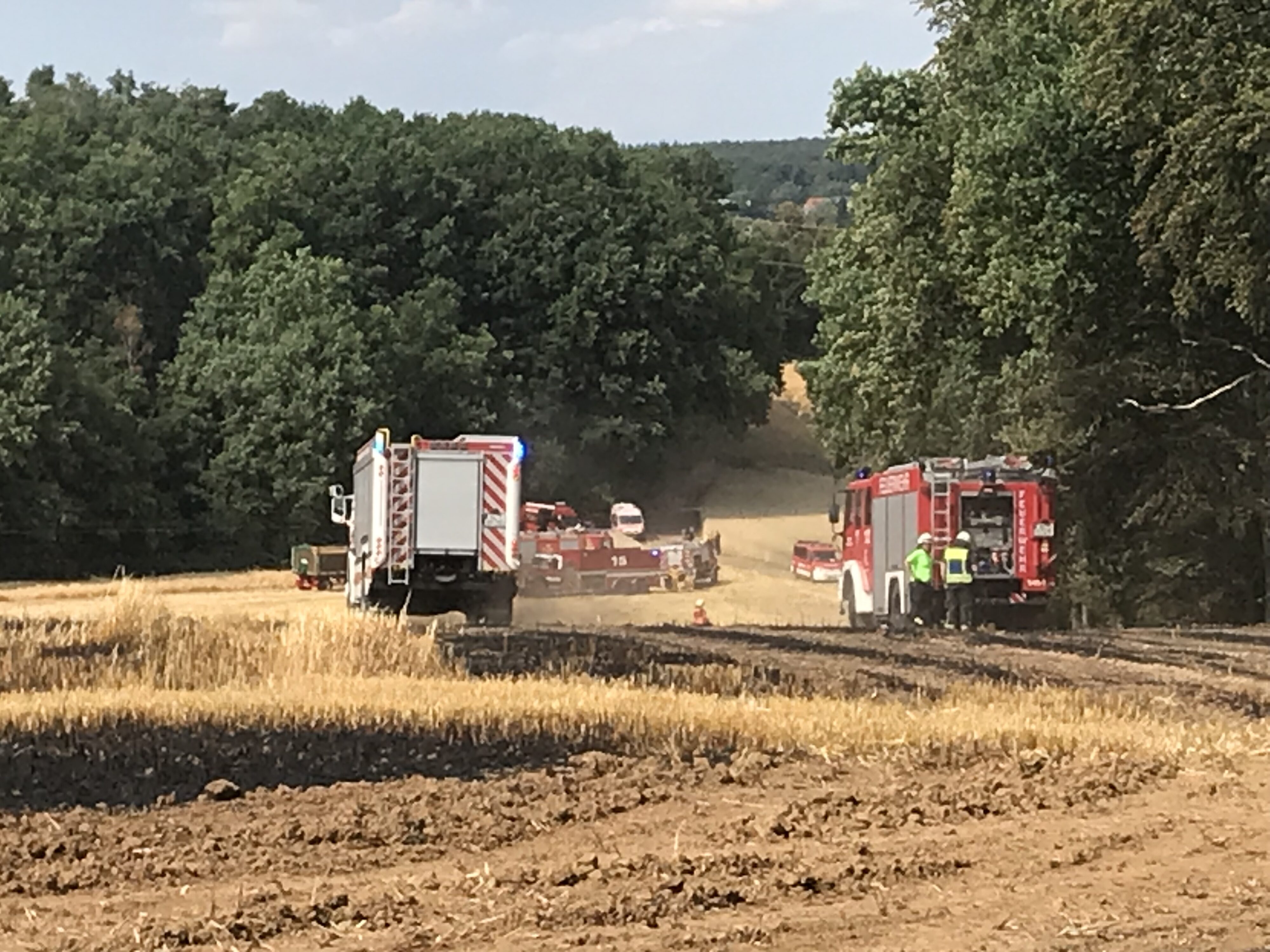 10. Juli 2023 - Flächen- und Waldbrand, Enkenbach-Alsenborn Ochsental