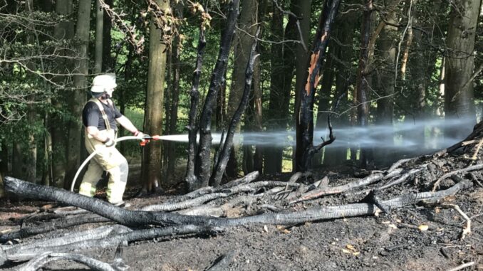 10. Juli 2023 - Flächen- und Waldbrand, Enkenbach-Alsenborn Ochsental