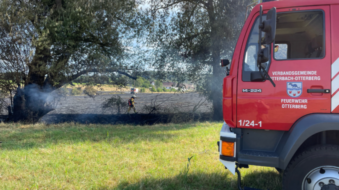 7. Juli 2023 - Flächenbrand, Potzbach