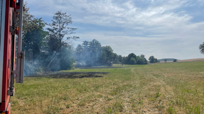 7. Juli 2023 - Flächenbrand, Potzbach