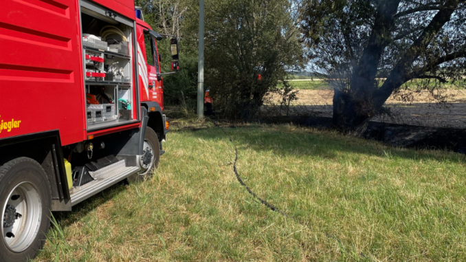 7. Juli 2023 - Flächenbrand, Potzbach