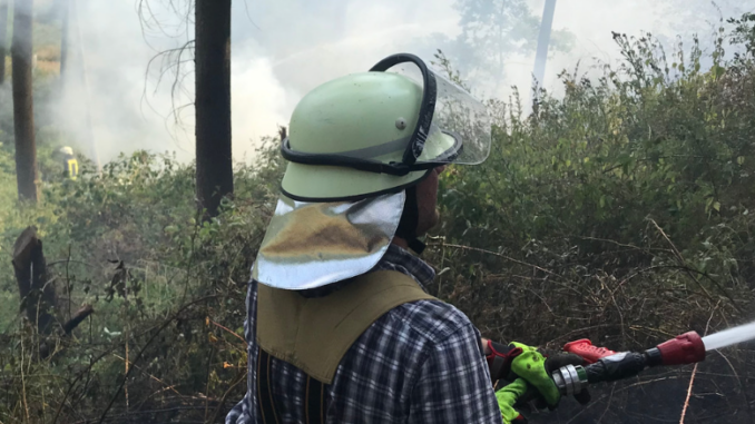 Symbolbild Waldbrand
