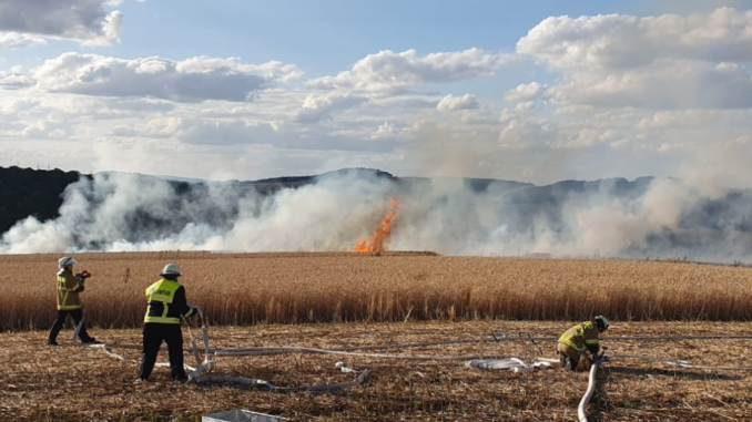 17. Juli 2023 - Flächenbrand, Niederkirchen Holbornerhof