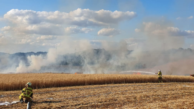 17. Juli 2023 - Flächenbrand, Niederkirchen Holbornerhof
