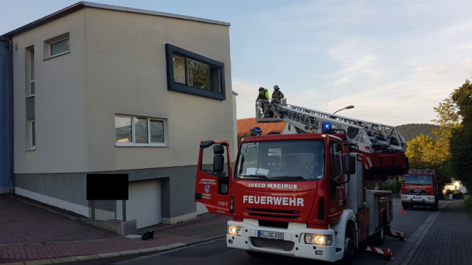 17. August 2023 - Rauchentwicklung aus Gebäude, Otterberg Schulstraße