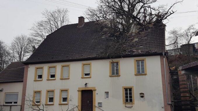3. März 2024 - Baum auf Gebäude, Katzweiler Mühleckertraße