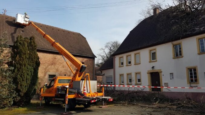 3. März 2024 - Baum auf Gebäude, Katzweiler Mühleckertraße