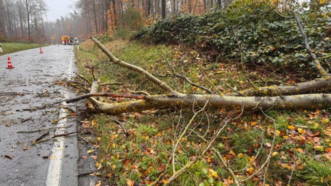 19. November 2024 - Beseitigung Unwetterfolgen, Verbandsgemeinde-Bereich