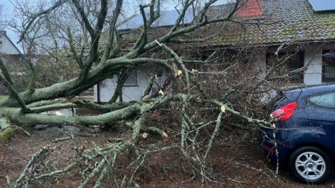 19. November 2024 - Beseitigung Unwetterfolgen, Verbandsgemeinde-Bereich
