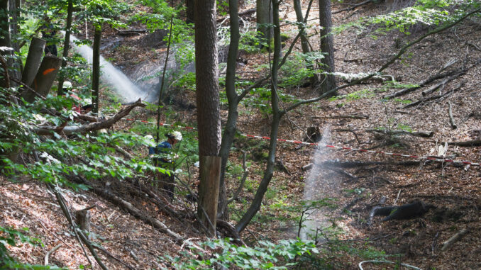 Waldbrandübung bei Otterberg (5. Juli 2025).