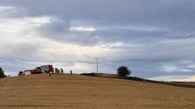 5. Juli 2025 – Flächenbrand, L388 Schneckenhausen – Heiligenmoschel