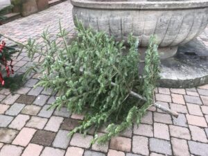 Symbolbild. Bild: Harald Laier / Feuerwehr