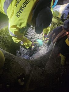 Die Katze wird aus ihrer misslichen Lage befreit. Bild: Nicolas Leu / Feuerwehr