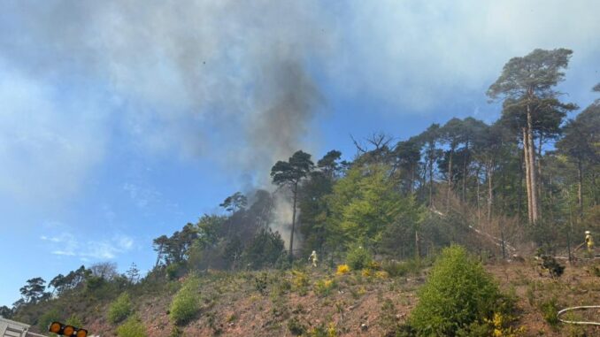 26. April 2026 – Waldbrand, A63 Sembach – Dreieck Kaiserslautern