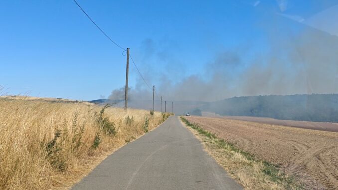 12. Juli 2026 - Flächenbrand, Niederkirchen-Wörsbach