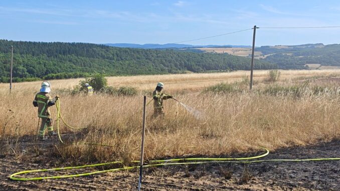 12. Juli 2026 - Flächenbrand, Niederkirchen-Wörsbach