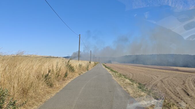 Die Rauchentwicklung war aufgrund der Lage der Einsatzstelle auf einem Bergrücken weithin sichtbar. Bild: Gregor Springwald / Feuerwehr