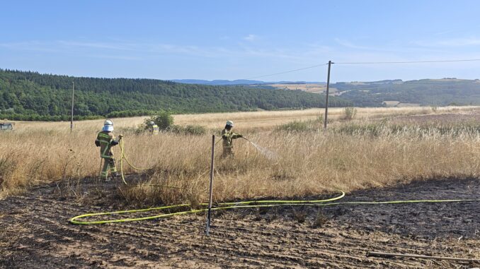 Mit mehreren Strahlrohren, darunter auch dem Wenderohr eines Tanklöschfahrzeugs, bekämpften die Einsatzkräfte den Flächenbrand. Bild: Gregor Springwald / Feuerwehr