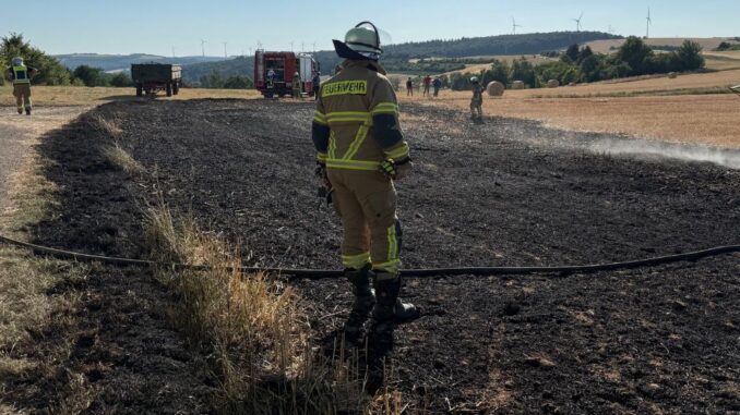 11. Juli 2026 - Flächenbrand, Schallodenbach Hahnbacherhof