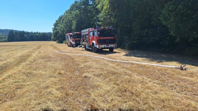 28. Juli 2026 – Vegetationsbrand, Otterberg Alte Hohl