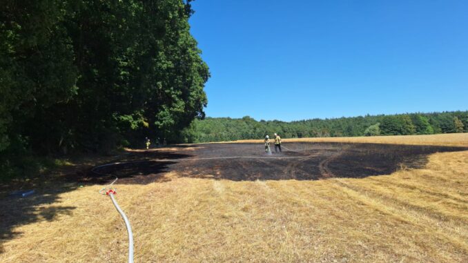 28. Juli 2026 – Vegetationsbrand, Otterberg Alte Hohl