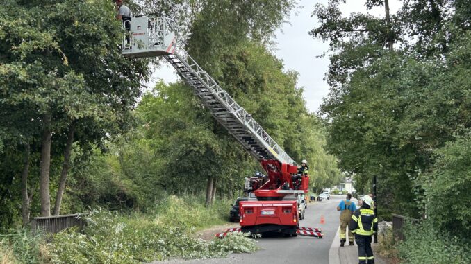 17. August 2026 - Absturzgefährdeter Ast, Otterberg Otterstraße