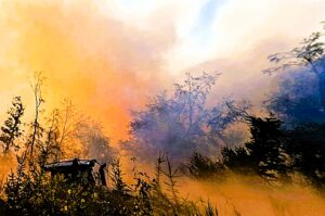 Symbolbild Waldbrand & Rauch. Quelle: LfBK