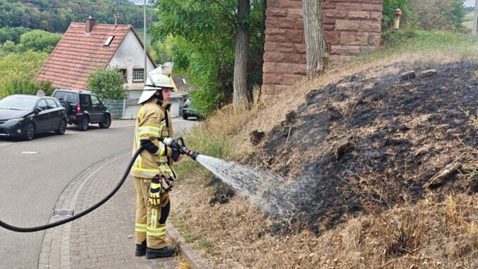 20. September 2026 - Flächenbrand, Olsbrücken Hohlstraße