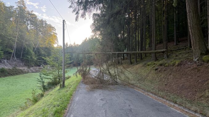6. September 2026 – Baum über Fahrbahn, K37 Althütterhof – Weinbrunnerhof